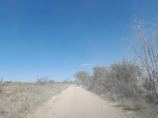 Terreno en venta en Bajio de San Jose, Encarnación de Díaz — foto 3 de 5