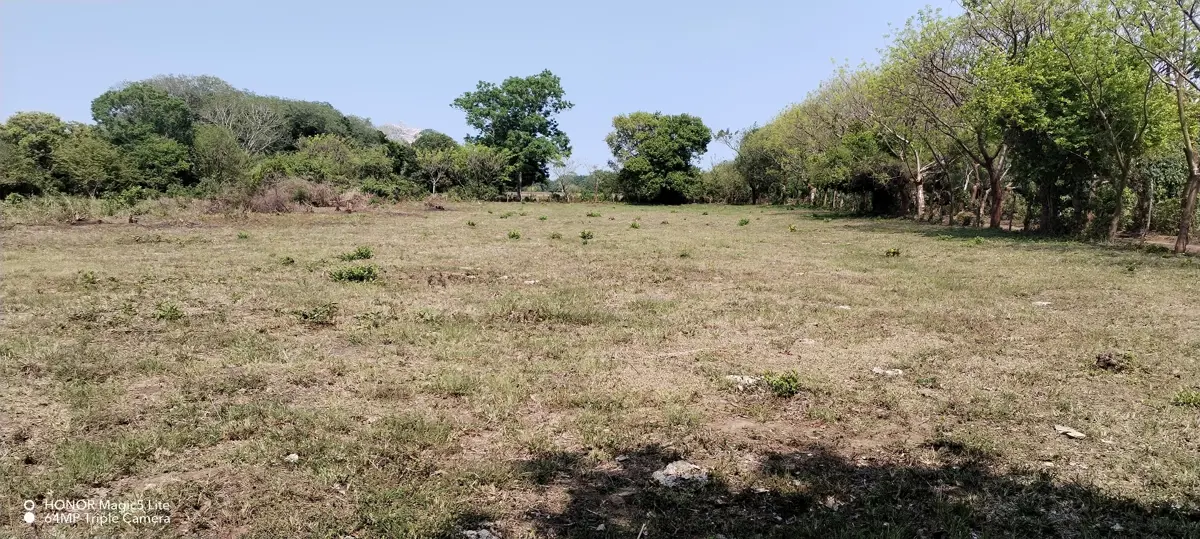 Terreno en venta en Paso Colorado, Medellín de Bravo — foto 1 de 7