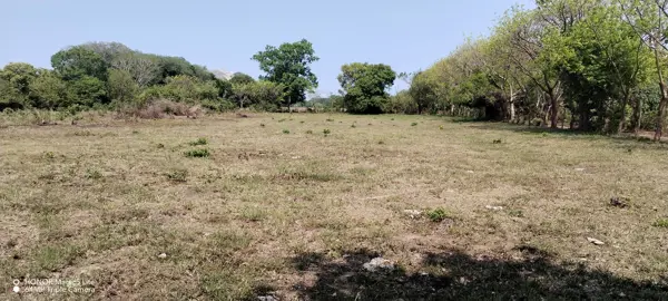 Terreno en venta en Paso Colorado, Medellín de Bravo, Veracruz de Ignacio de la Llave