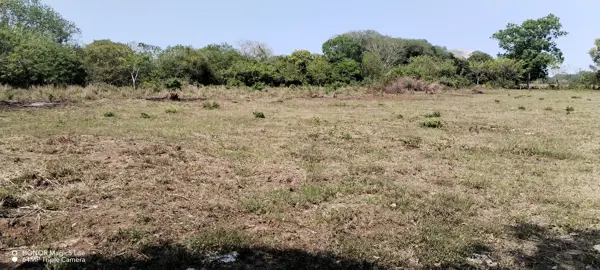 Terreno en venta en Paso Colorado, Medellín de Bravo — foto 3 de 7