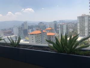 Departamento en renta en Santa Fe Cuajimalpa, Cuajimalpa de Morelos — foto 2 de 16
