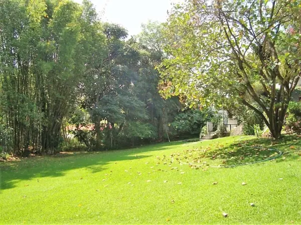 Casa en renta en Lomas de Jiutepec, Jiutepec — foto 3 de 33