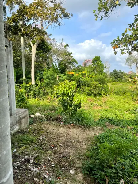Terreno en venta en Jalupa, Jalpa de Méndez — foto 2 de 14