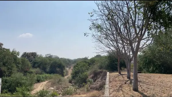 Terreno en venta en Terraplena, Manzanillo — foto 2 de 10