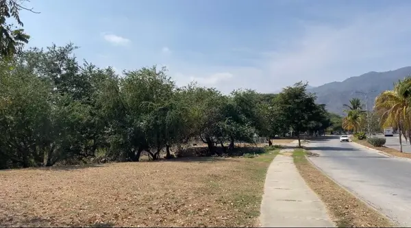 Terreno en venta en Terraplena, Manzanillo — foto 3 de 10