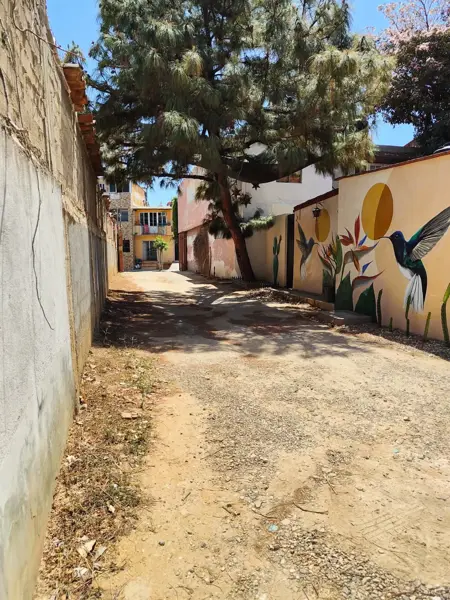 Terreno en venta en Xochimilco, Oaxaca de Juárez — foto 2 de 6