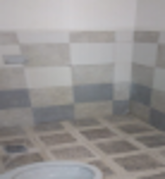 Casa en venta en Saucillo de la Joya, León — foto 3 de 5