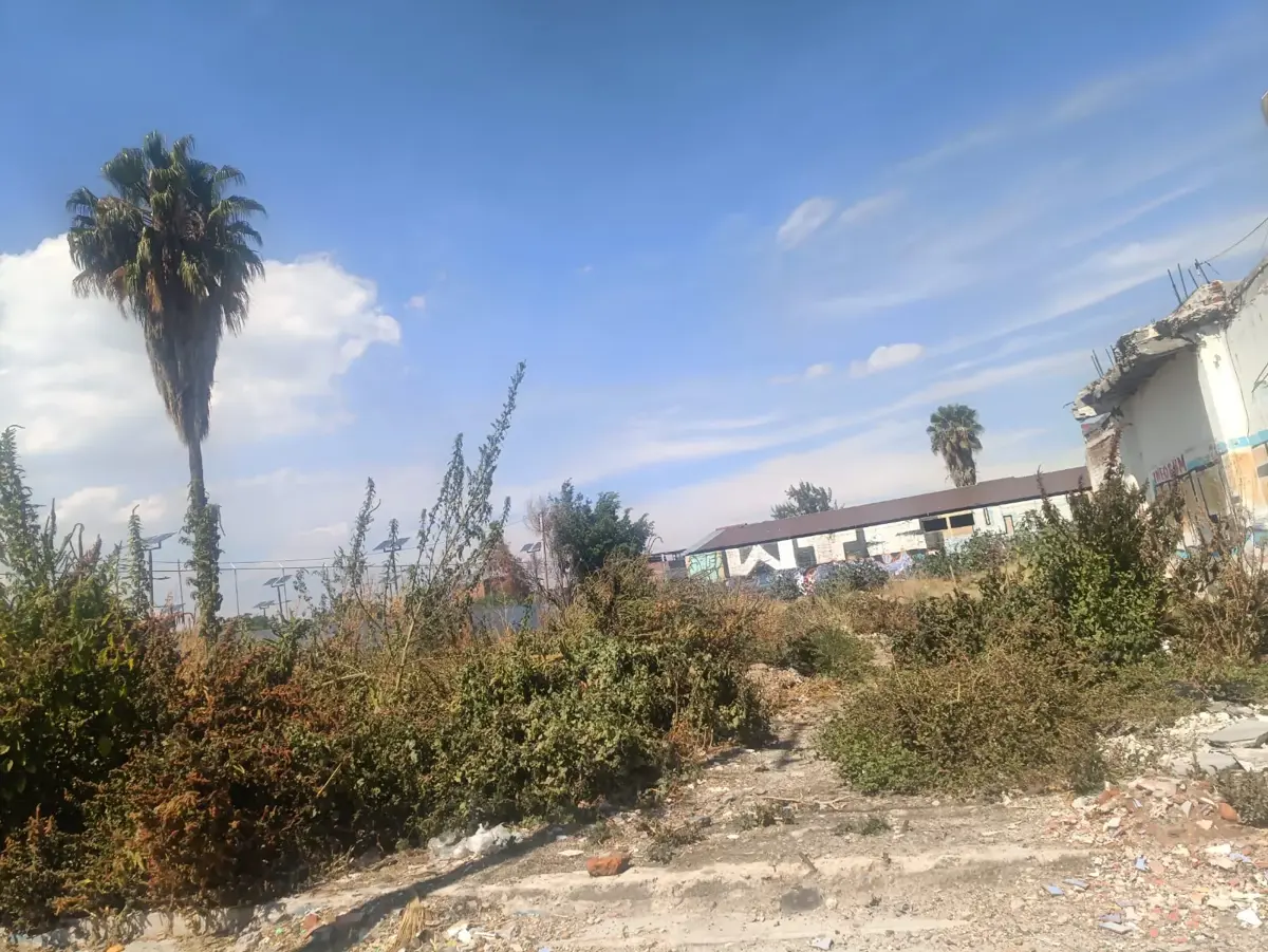 Terreno en venta en Los Reyes, Irapuato — foto 1 de 4