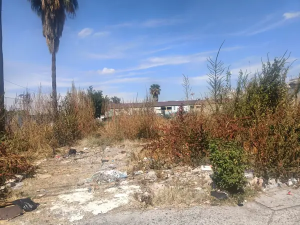 Terreno en venta en Los Reyes, Irapuato — foto 3 de 4