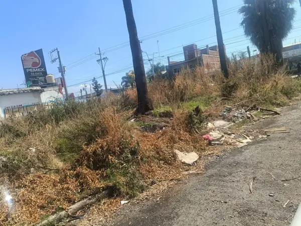 Terreno en venta en Los Reyes, Irapuato — foto 2 de 4