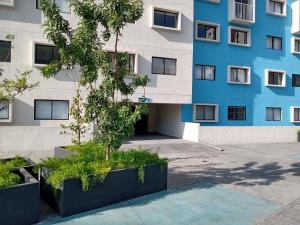 Departamento en renta en La Aurora, Guadalajara — foto 2 de 37