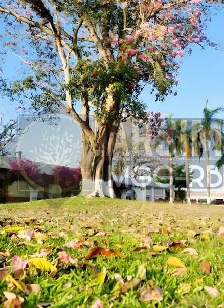 Casa en venta en Club de Golf la Ceiba, Mérida — foto 3 de 74