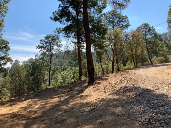 Terreno en venta en Mazamitla, Mazamitla — foto 2 de 9