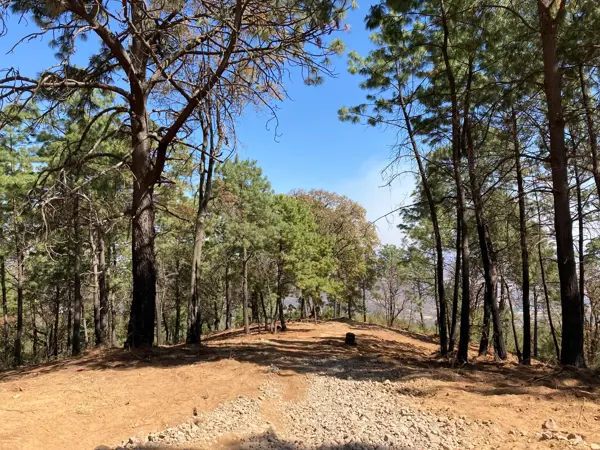 Terreno en venta en Mazamitla, Mazamitla — foto 3 de 9