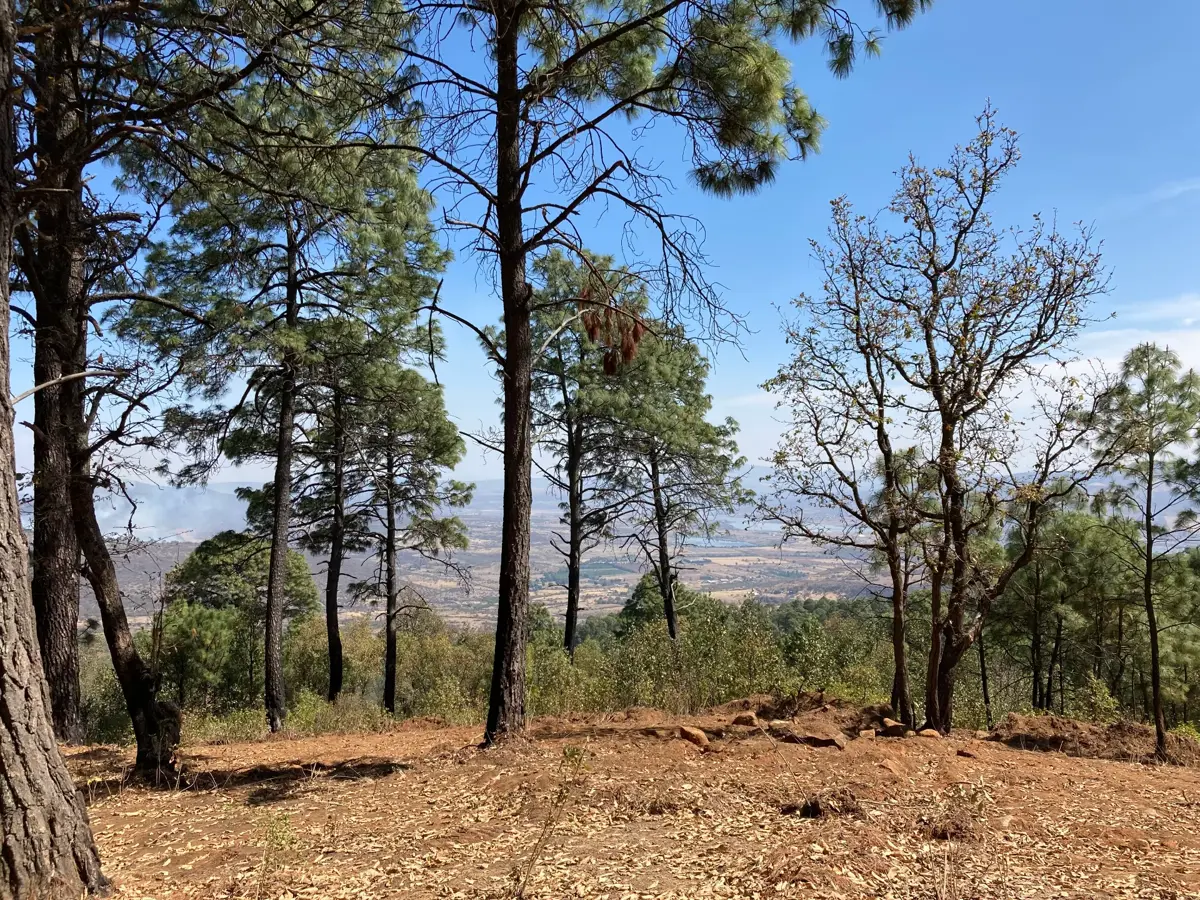 Terreno en venta en Mazamitla, Mazamitla — foto 1 de 9