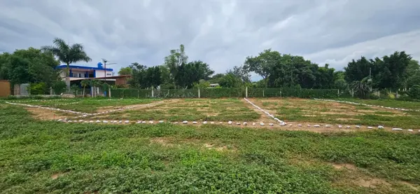 LOTES PLANOS CON LUZ EN CUILAPAM OAXACA