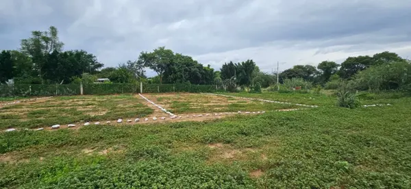 Terreno en venta en San Sebastián, Cuilápam de Guerrero — foto 2 de 2