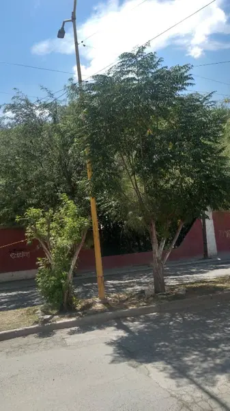 Casa en venta en La Amistad, Torreón — foto 3 de 12