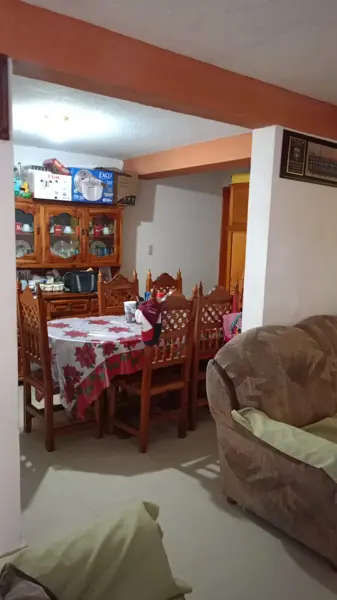 Casa en venta en Infonavit Pedregoso, San Juan del Río — foto 3 de 13