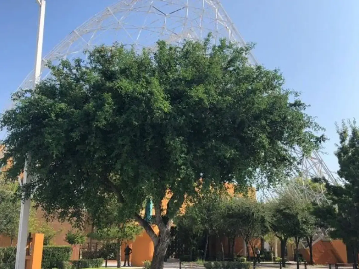 Terreno en Venta en Residencial el Fresno, Torreón, Coahuila de Zaragoza