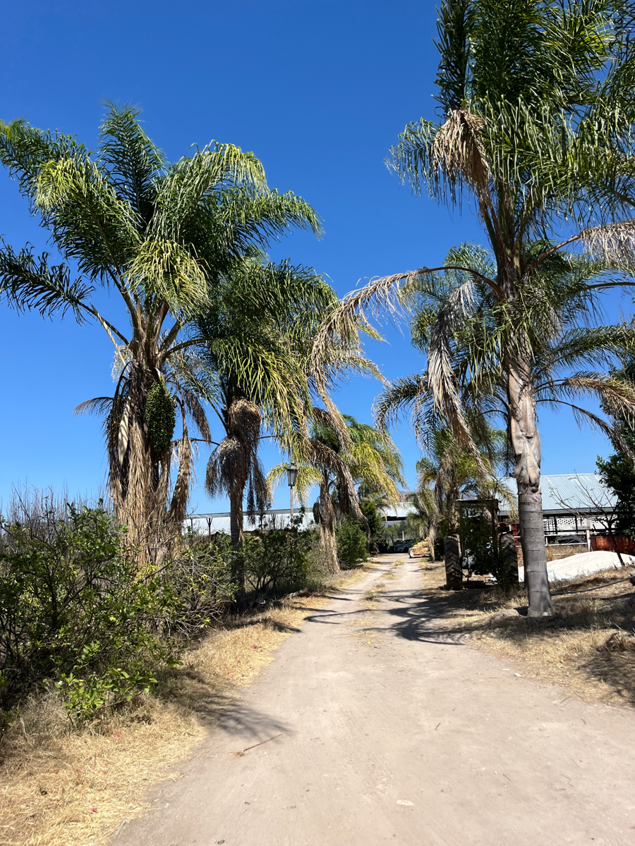 Terreno en venta en Santa Rosa Xajay, San Juan del Río — foto 1 de 8