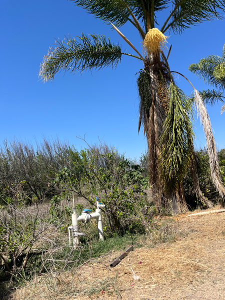 Terreno en venta en Santa Rosa Xajay, San Juan del Río — foto 3 de 8