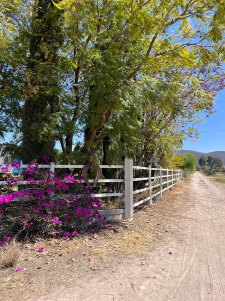 Terreno en venta en Santa Rosa Xajay, San Juan del Río — foto 2 de 8