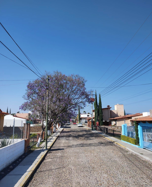 Terreno en venta en Residencial los Viñedos de Tequisquiapan, Tequisquiapan — foto 3 de 7