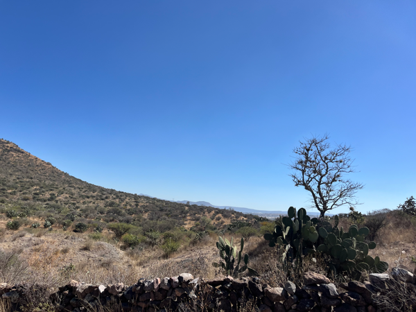 Terreno en venta en San Juan Dehedó, Amealco de Bonfil — foto 3 de 5