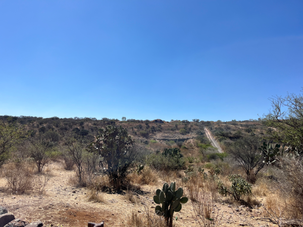Terreno en venta en Cofradía Grande, San Juan del Río — foto 2 de 4