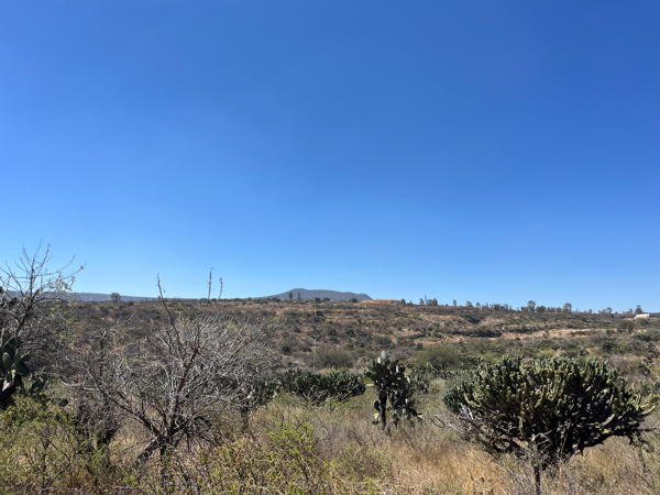 Terreno en venta en Cofradía Grande, San Juan del Río — foto 3 de 4