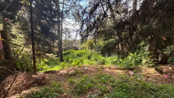 Terreno en venta en Real Montecassino, Huitzilac — foto 2 de 6