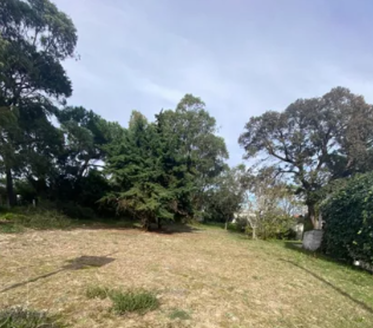 Terreno en venta en El Mayorazgo Residencial, León — foto 1 de 2