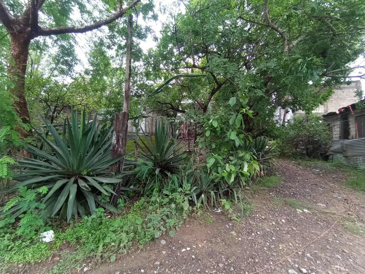 Terreno en venta en La Pochota, Veracruz — foto 1 de 10