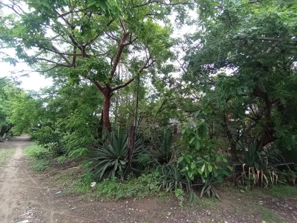 Terreno en venta en La Pochota, Veracruz — foto 2 de 10