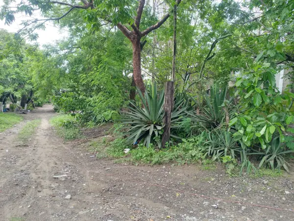 Terreno en venta en La Pochota, Veracruz — foto 3 de 10