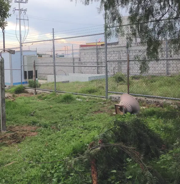 Terreno en renta en Pachuquilla, Mineral de la Reforma — foto 3 de 5