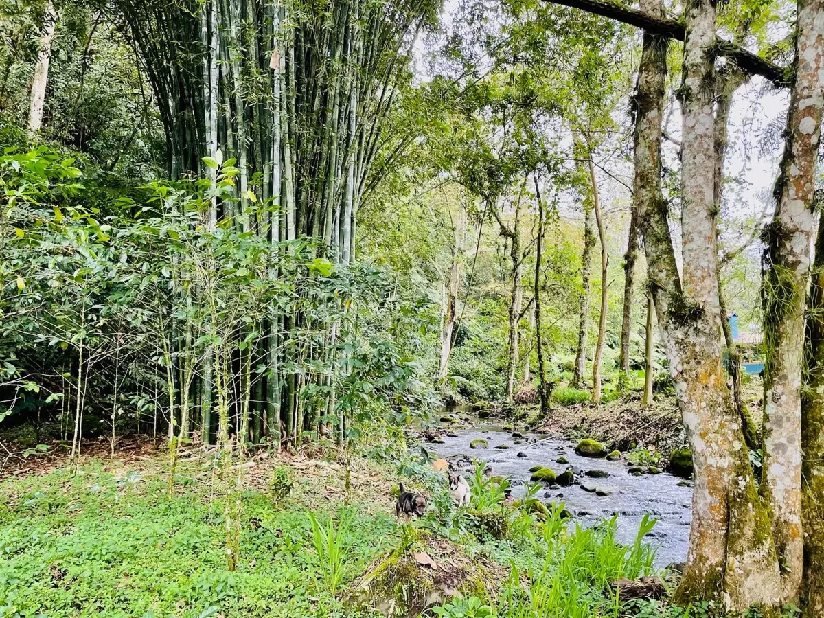 Finca-Rancho en venta en Chopantla, Coatepec — foto 1 de 10