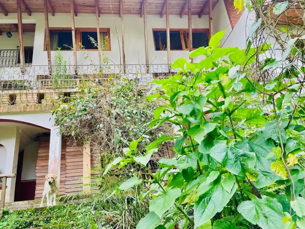 Finca-Rancho en venta en Chopantla, Coatepec — foto 2 de 10