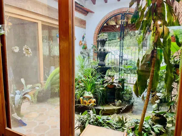 Finca-Rancho en venta en Chopantla, Coatepec — foto 3 de 10
