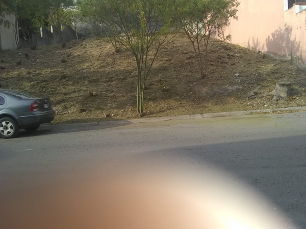Terreno en venta en Fuentes del Valle Sector Colinas, San Pedro Garza García — foto 3 de 5