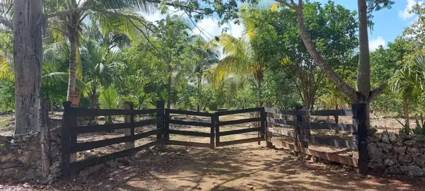 Terreno en venta en Leona Vicario, Puerto Morelos — foto 2 de 38