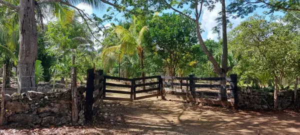 Terreno en venta en Leona Vicario, Puerto Morelos — foto 3 de 38