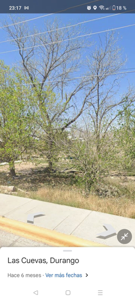 Terreno en venta en Las Cuevas, Lerdo — foto 2 de 6