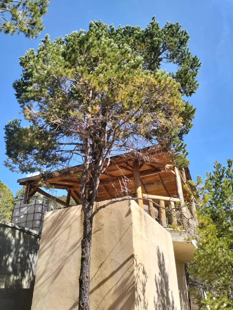 Finca-Rancho en venta en San Antonio de las Alazanas, Arteaga — foto 1 de 8