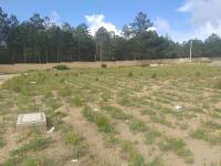 Terreno en venta en Francisco Villa, Perote — foto 2 de 3
