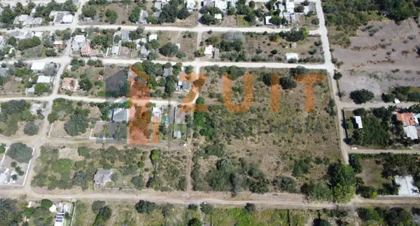 Terreno en venta en Lomas de Miralta, Altamira — foto 3 de 6