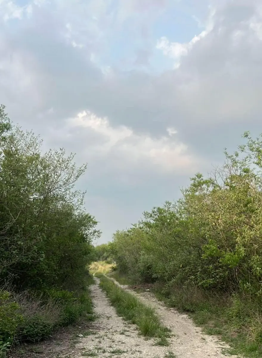 Terreno en venta en Las Adjuntas, Cadereyta Jiménez — foto 1 de 5