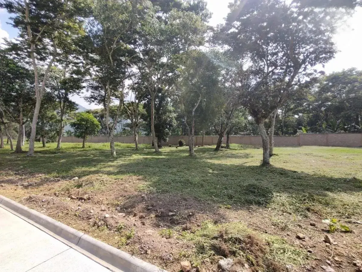 Terreno en venta en Tecama Calería (Sabana Larga), Córdoba — foto 1 de 10