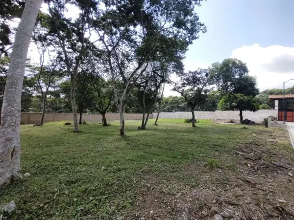 Terreno en venta en Tecama Calería (Sabana Larga), Córdoba — foto 3 de 10